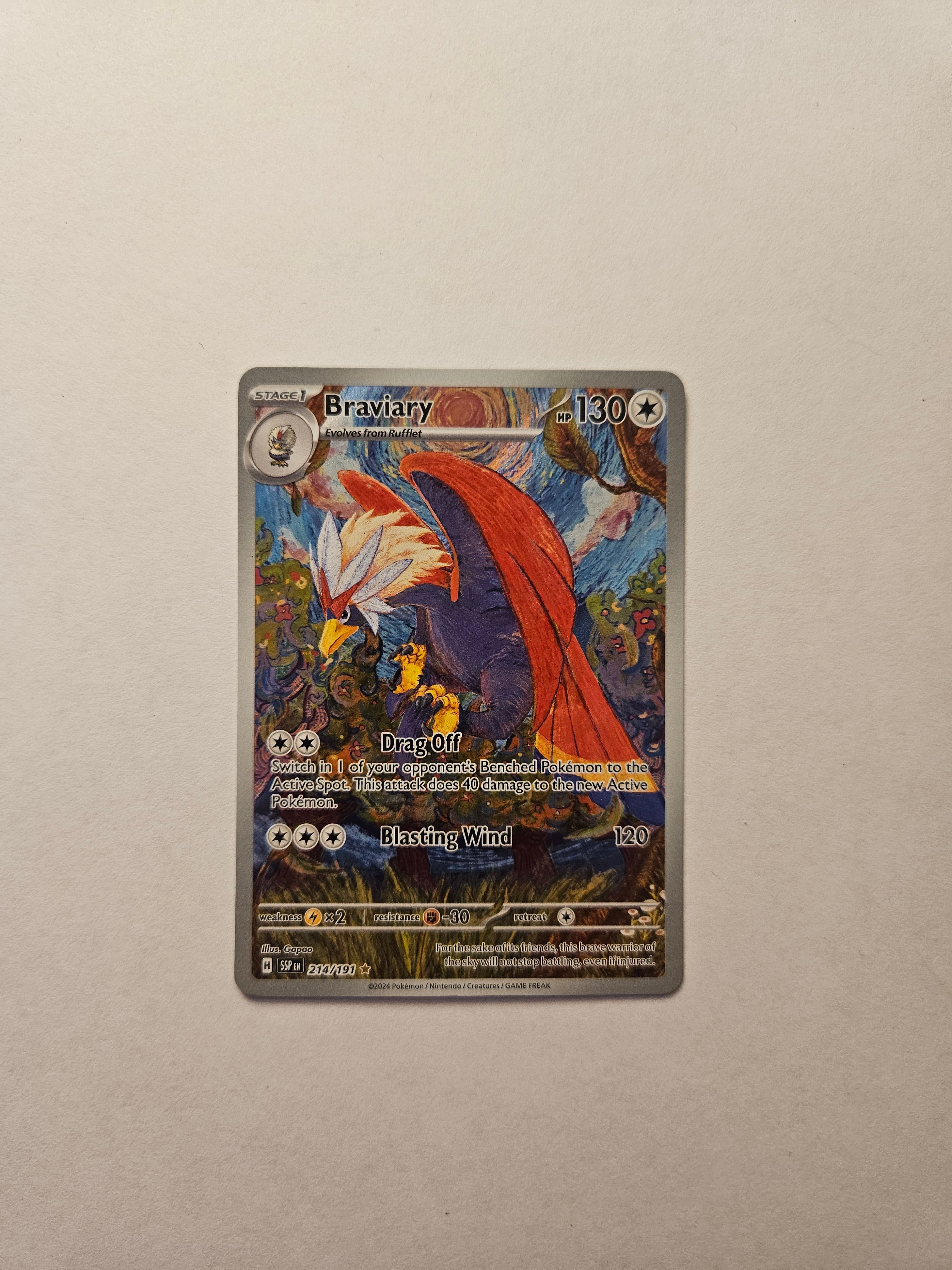 Braviary 214/191 Illustration Rare Surging Sparks