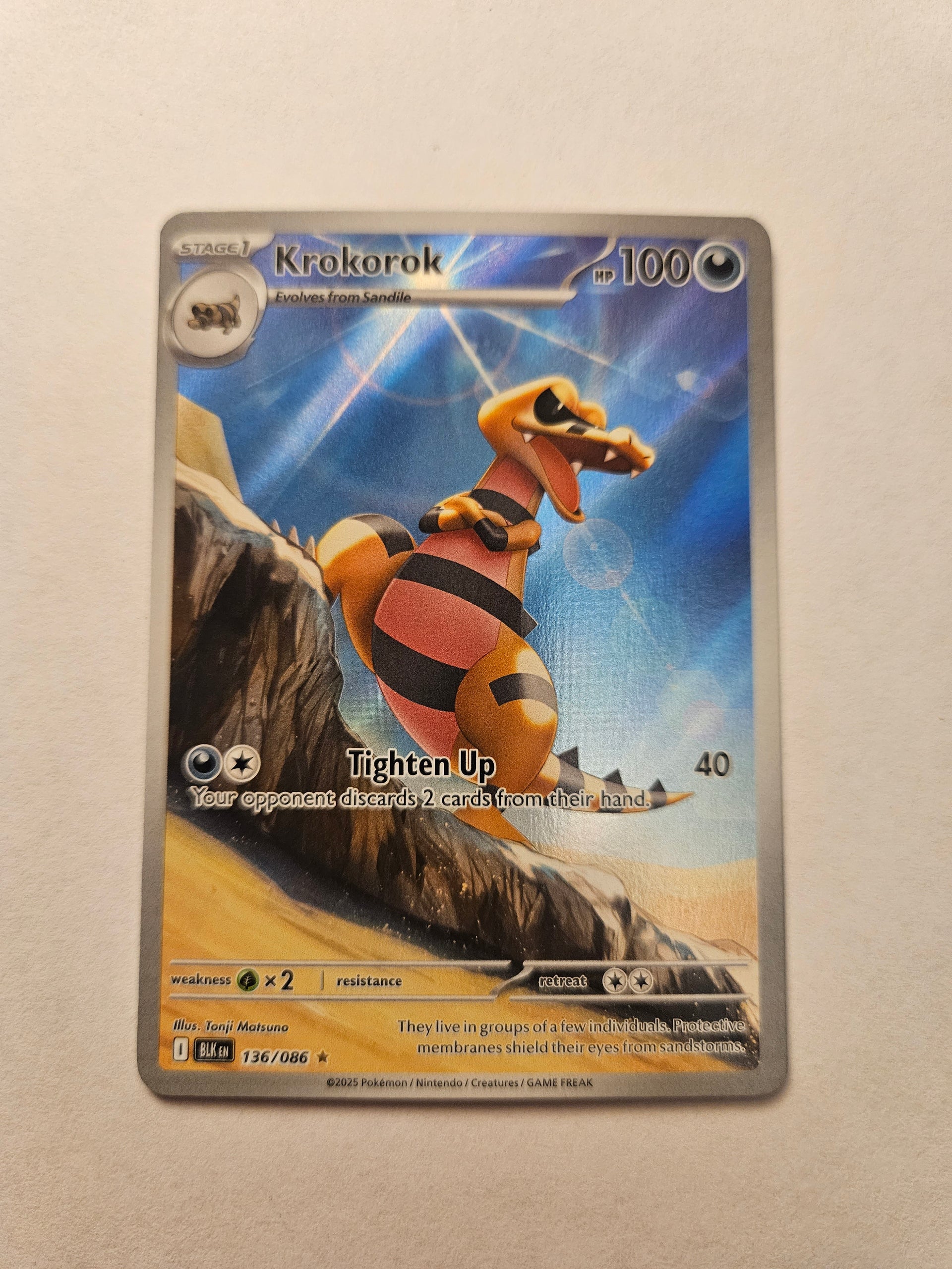 Krokorok - 136/086 136