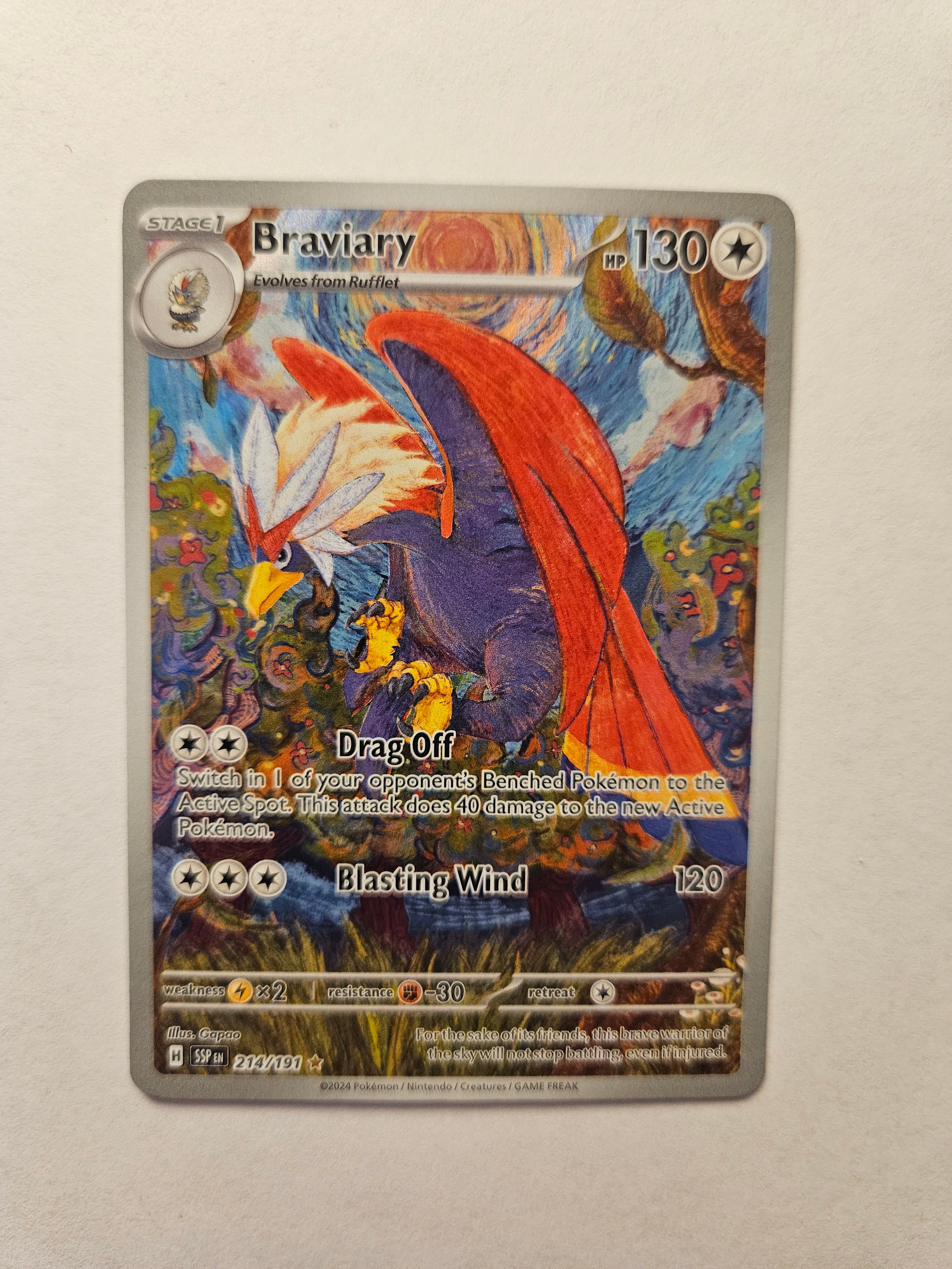 Braviary 214/191 Illustration Rare Surging Sparks