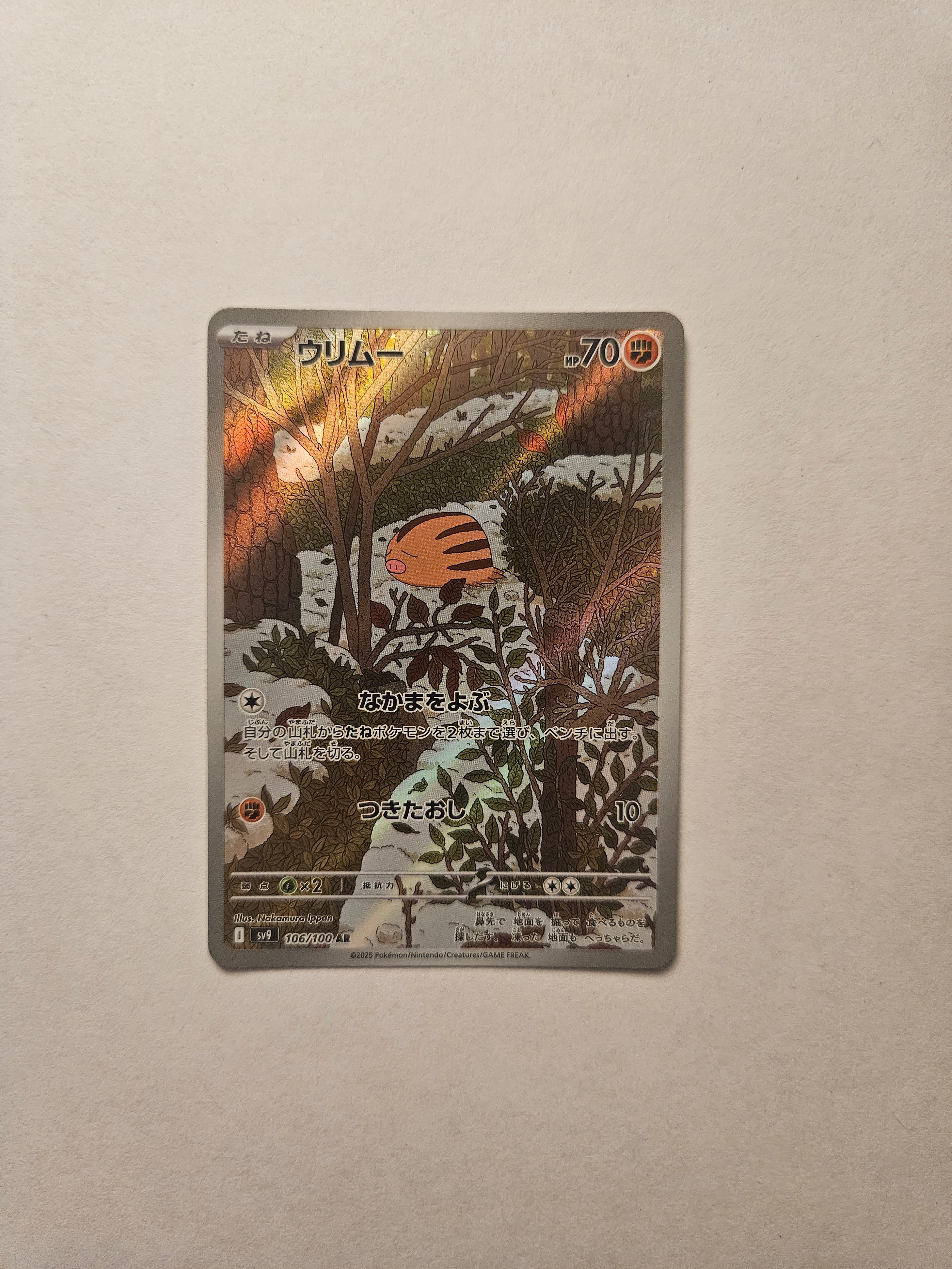 Swinub AR 106/100 SV9 Battle Partners Japanese